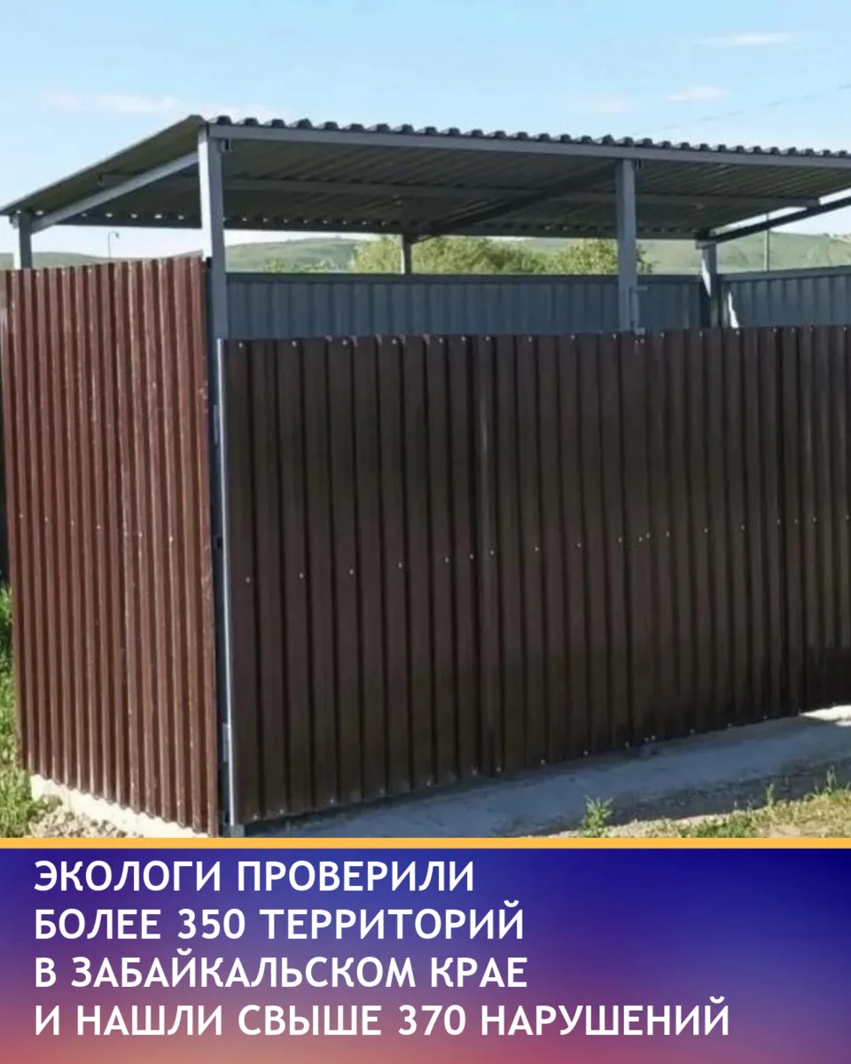 С начала года в Забайкалье проверили 356 территорий и выявили 371 нарушение природоохра...