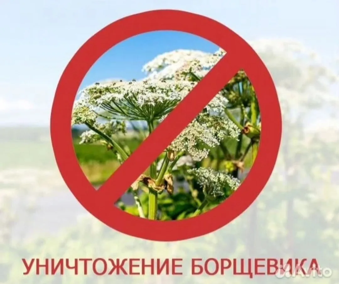 📢 ОБЪЯВЛЕНИЕ!!!!!!