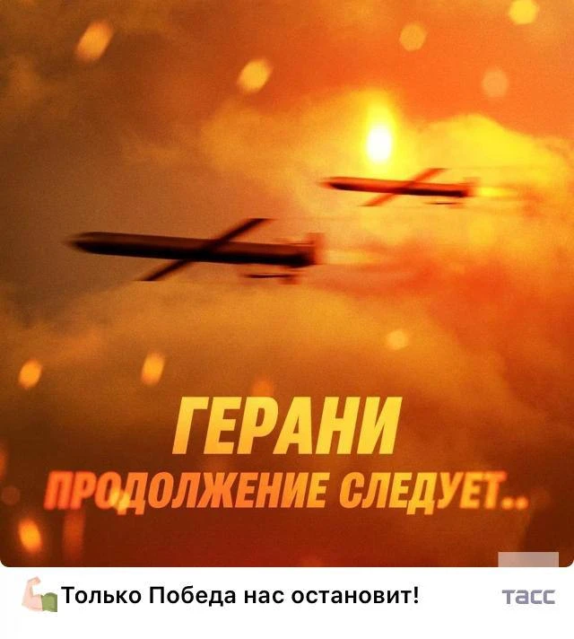 Герани. Продолжение следует...