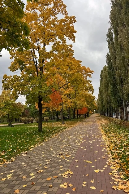 Доброе утро, вторник! 🍁