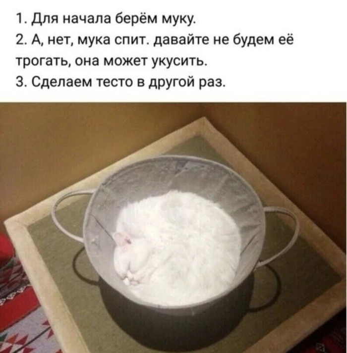 🔹 Я и мое настроение готовить 😄

ЮМОР 360° в MAX   |  TG
