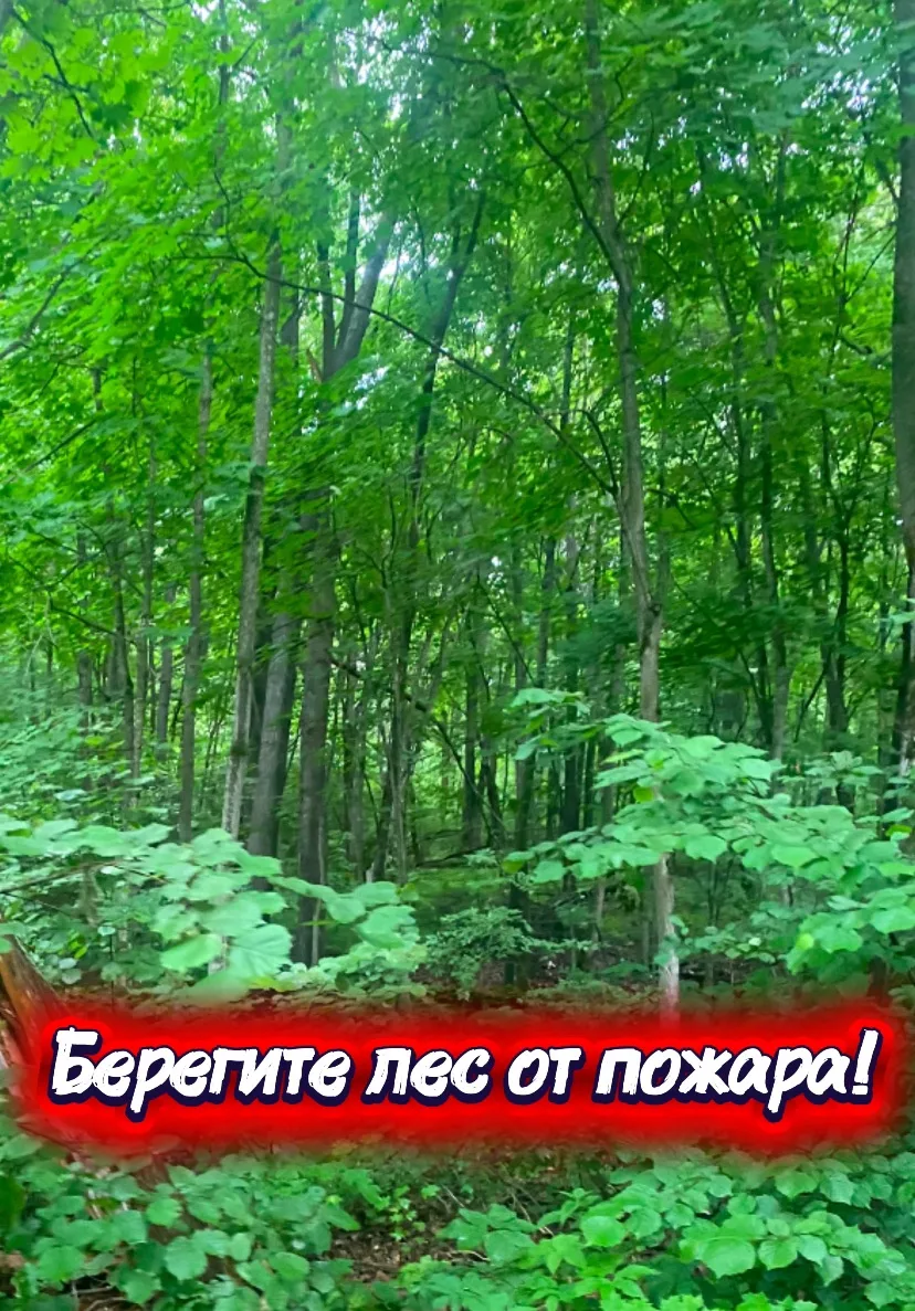 Уважаемые чистопольцы!