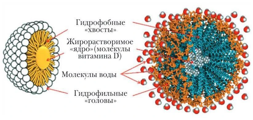 Водный раствор - витамин Д