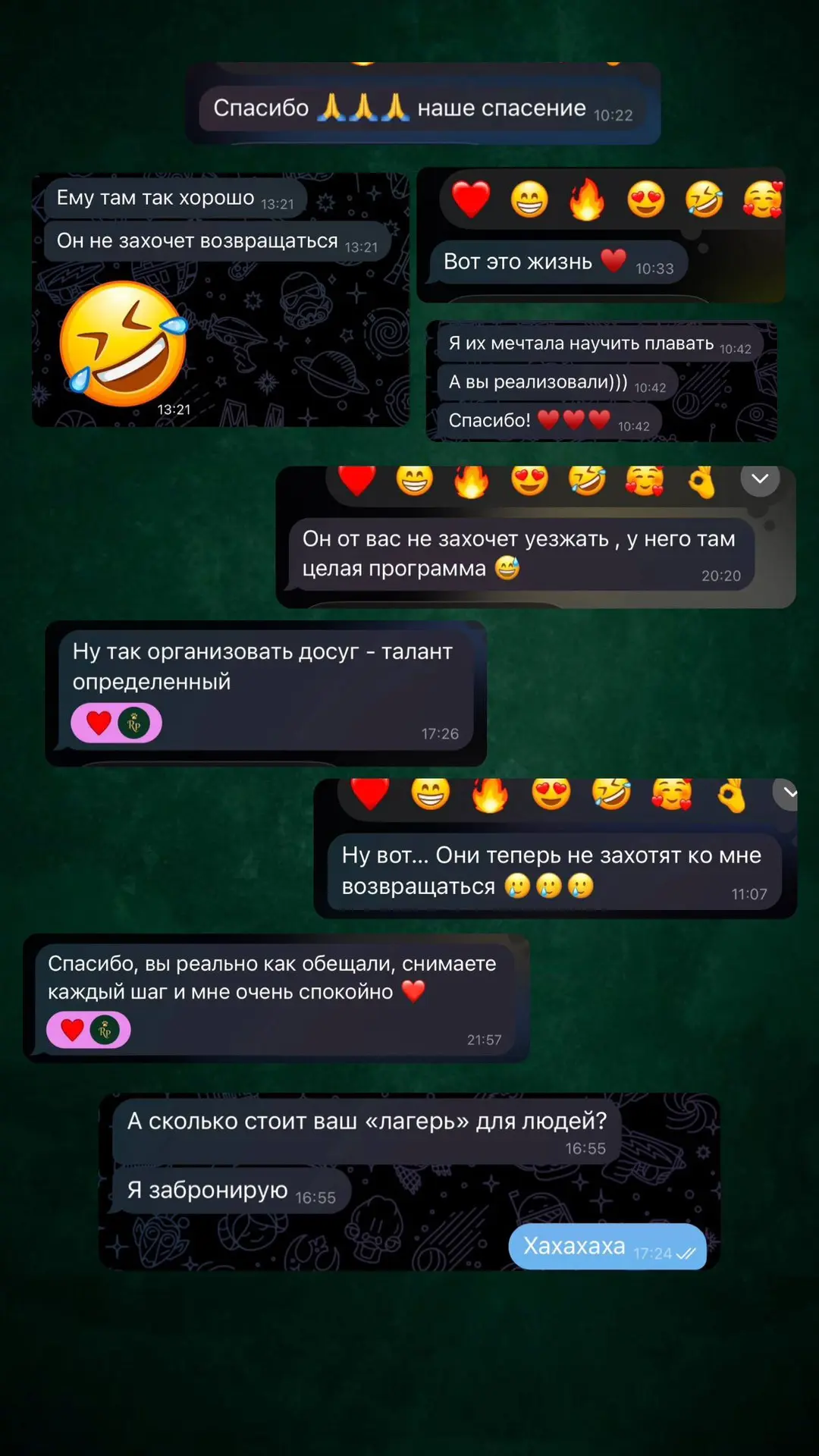 Запись на день/дни — в директ 📱@admPaws или по телефону 📲 89186454511