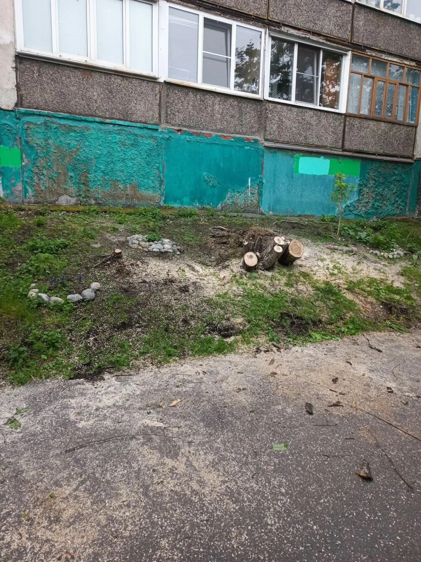 💚Избавили фонд от аварийных и опасных деревьев.