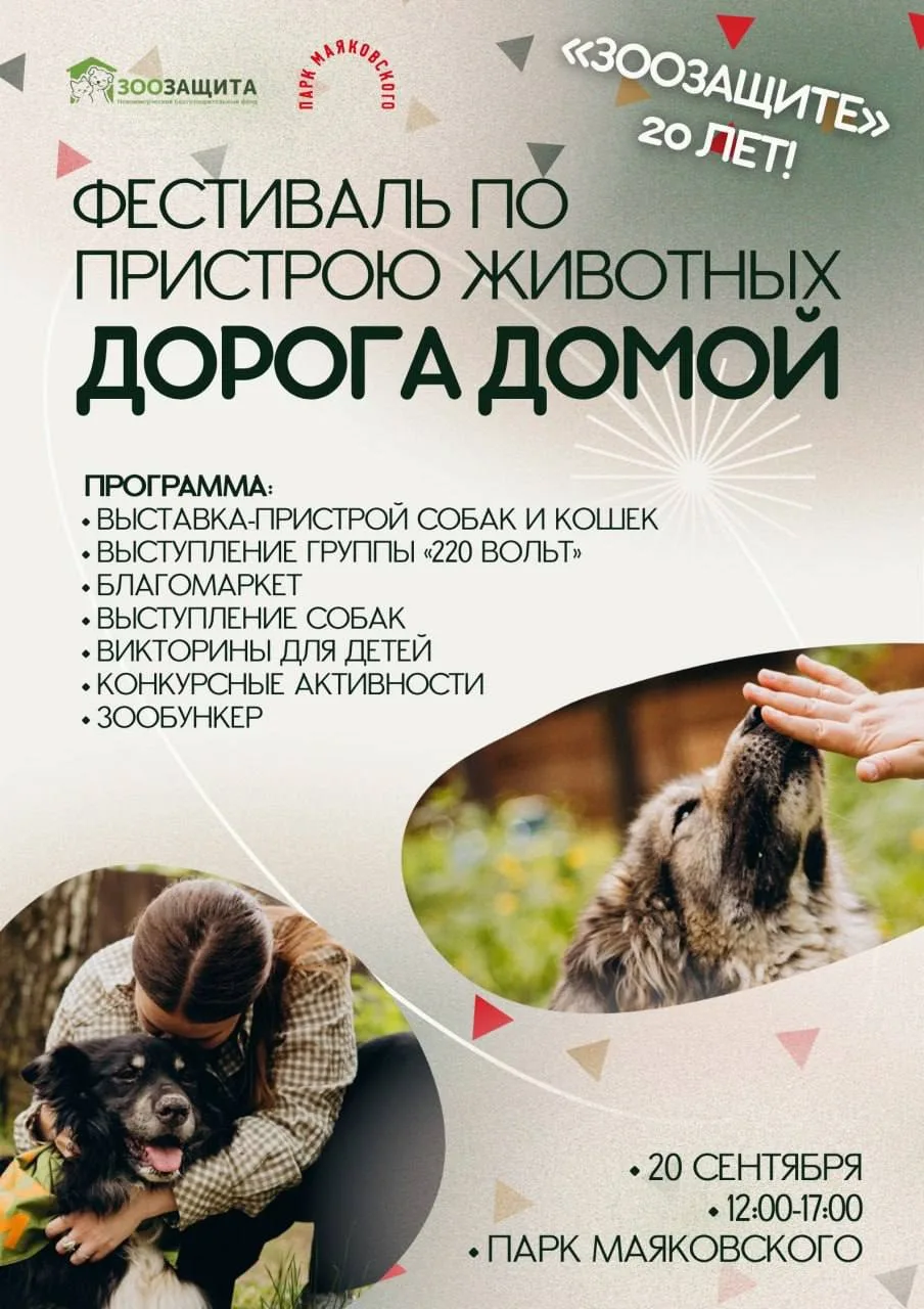 #ФЕСТИВАЛЬ@iz_doma_ekb