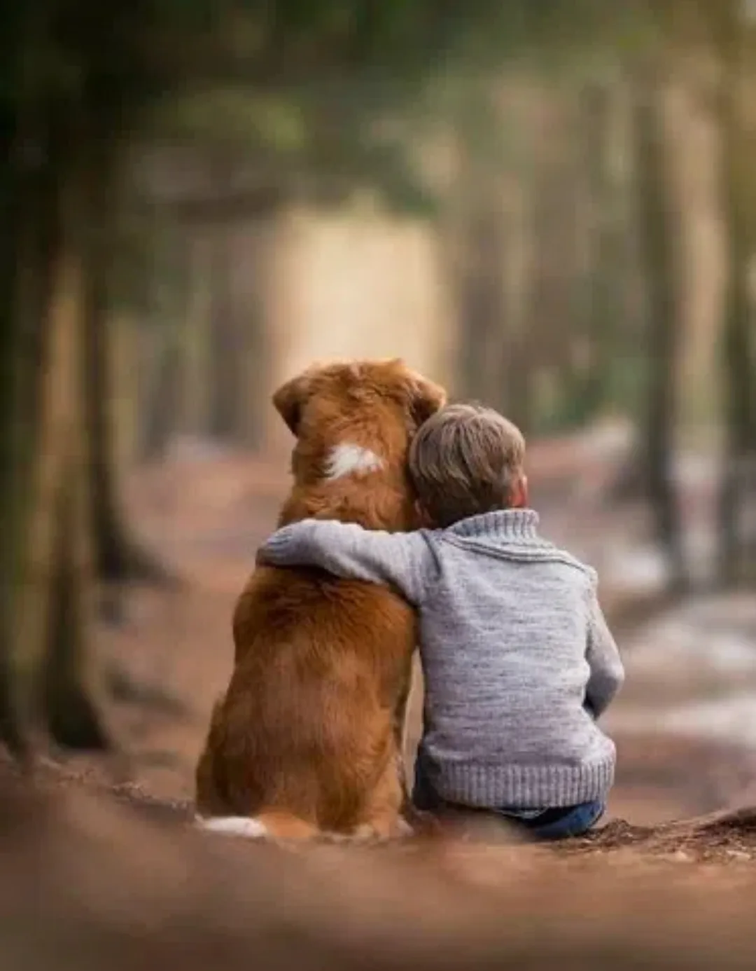 Добрый день, друзья ❤️