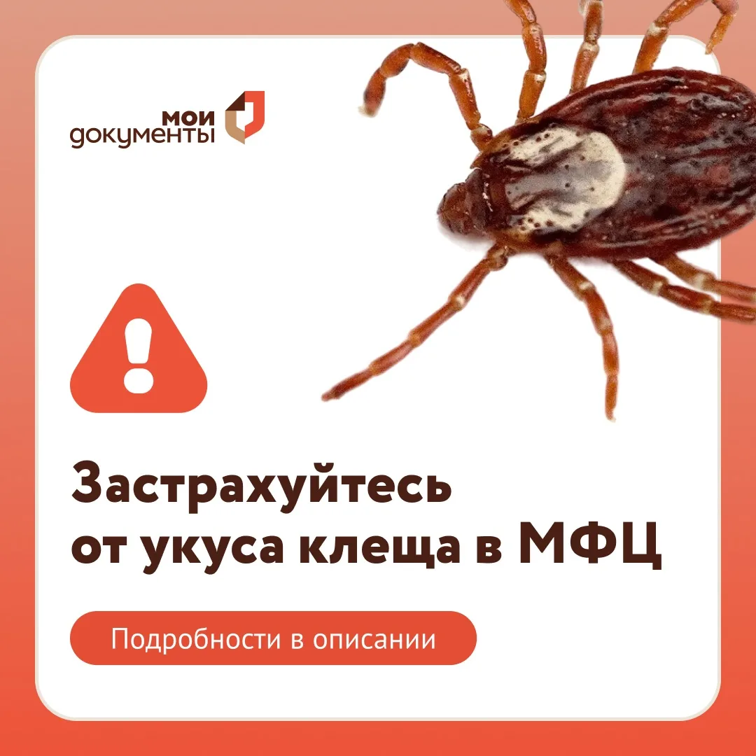 ГАУ Республики Мордовия МФЦ напоминает: