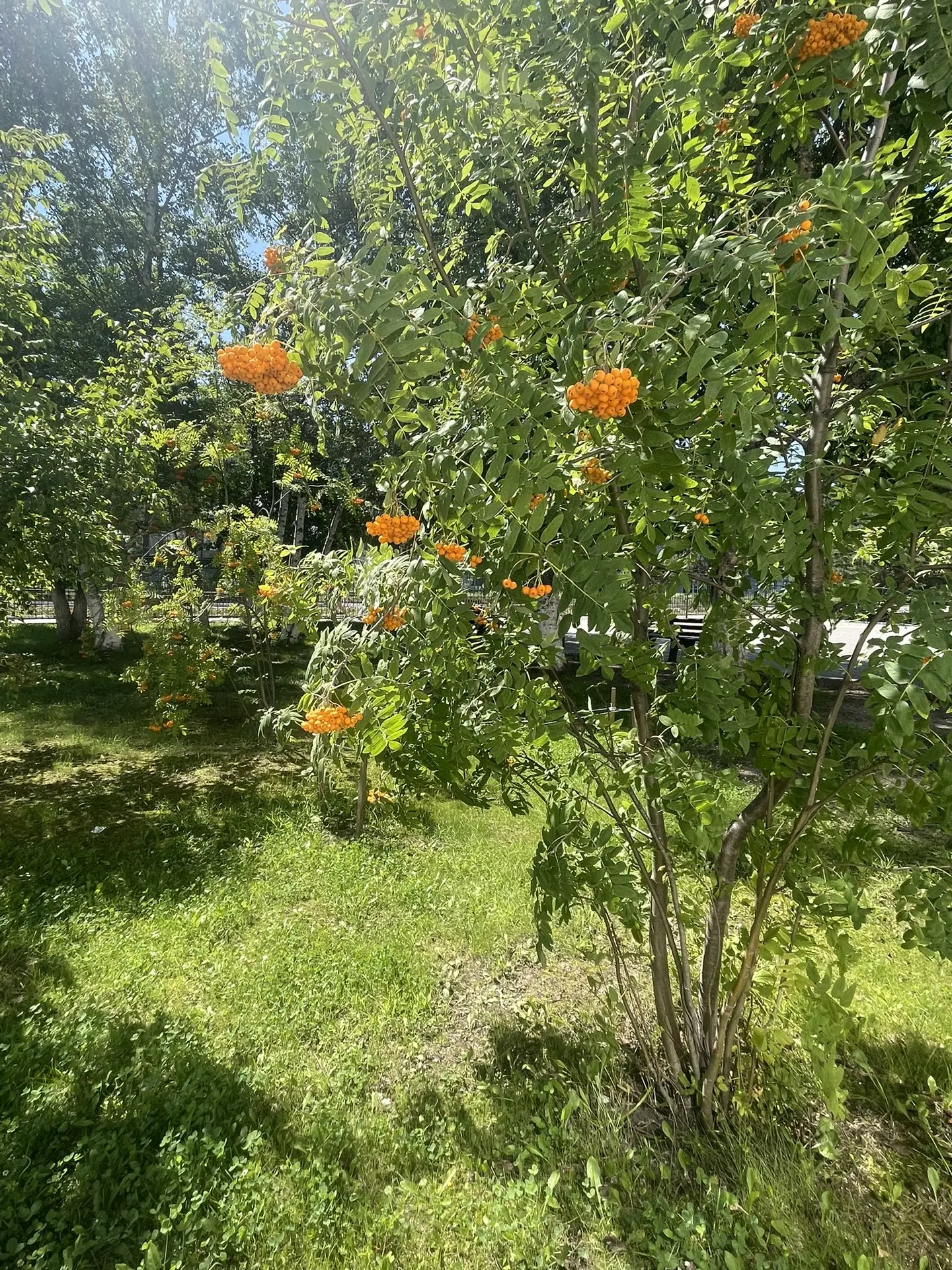 Наш уютный школьный эко-двор🧡🧡🧡