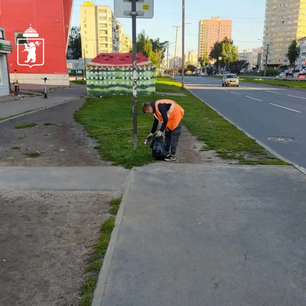 🌿 Порядок в Заволжском районе