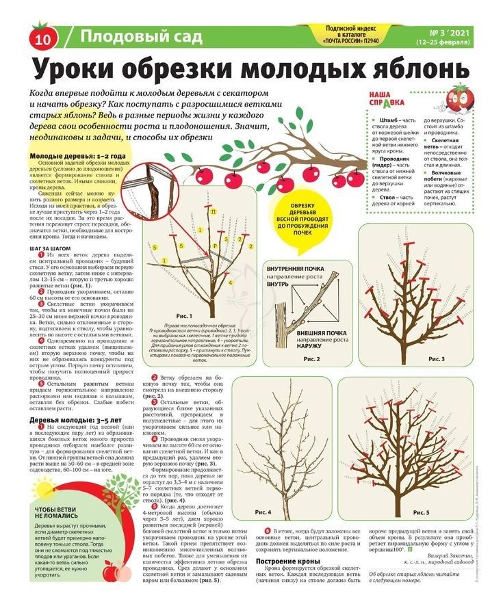 Дача | Подпишись 👇🏻