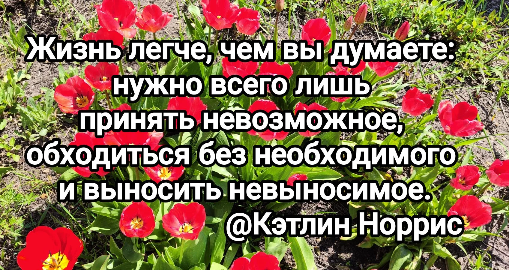 С добрым утром 🤗