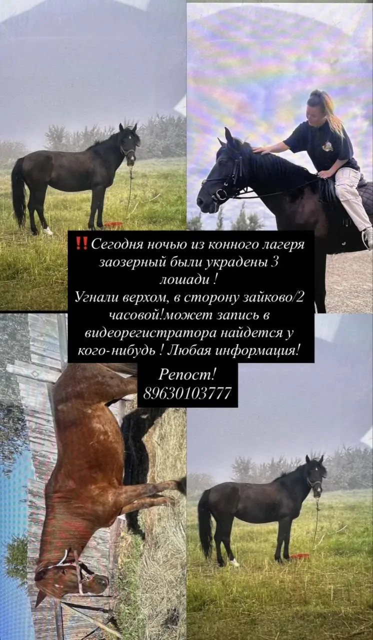 Рубрика «Короче, найдись!»