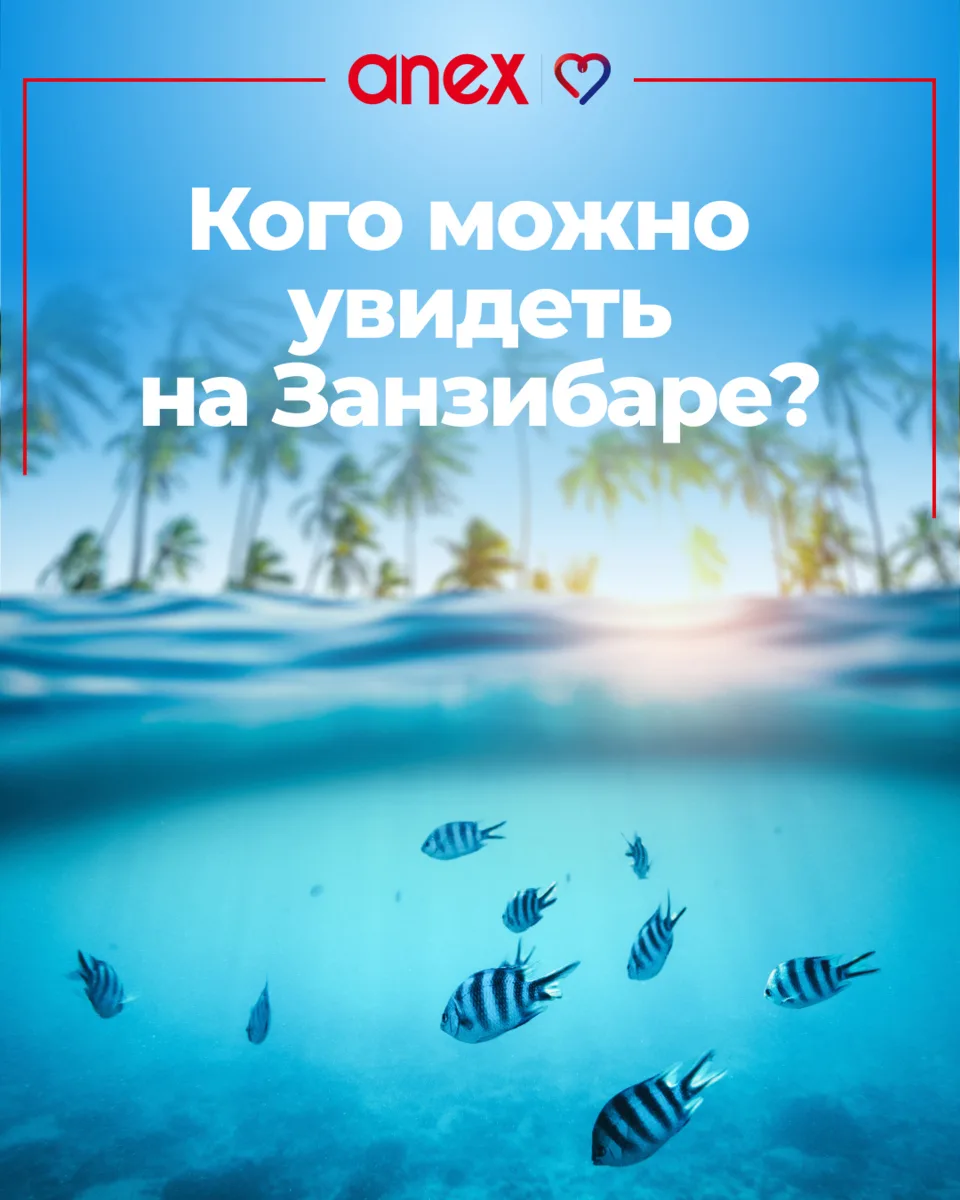 Осторожно! Эти изображения вызывают внезапное чувство восторга 😍