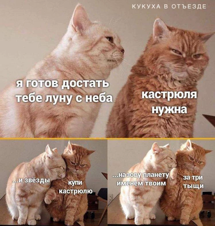 Кукуха в отъезде 🐦