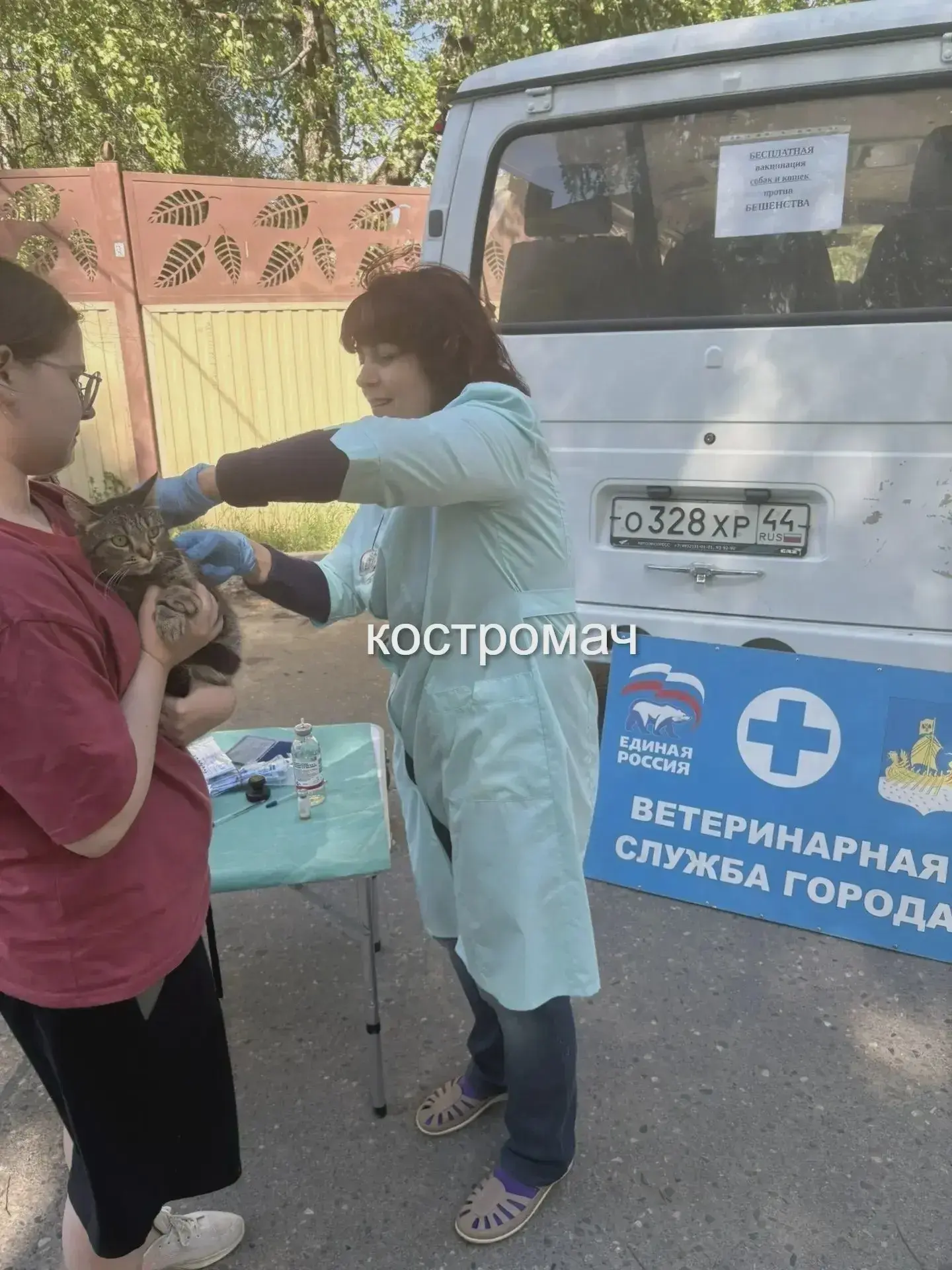 🐾 Бесплатная вакцинация животных в Берендеевке