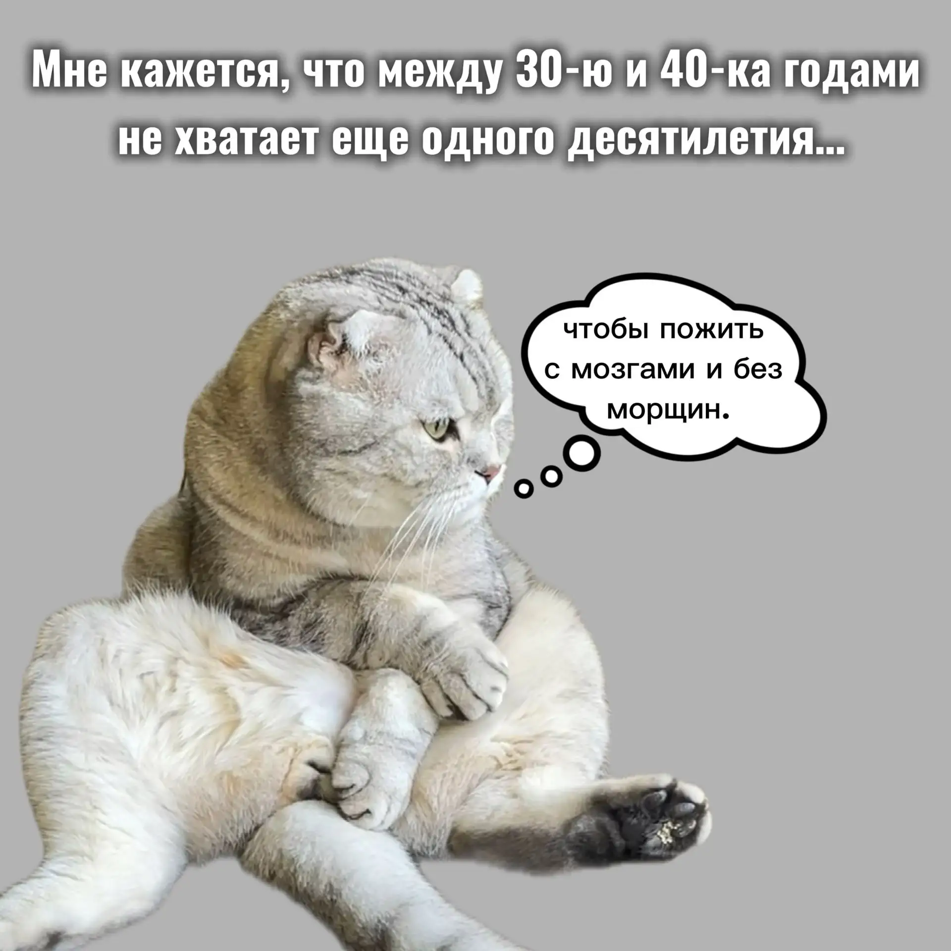 Точно 🙄
