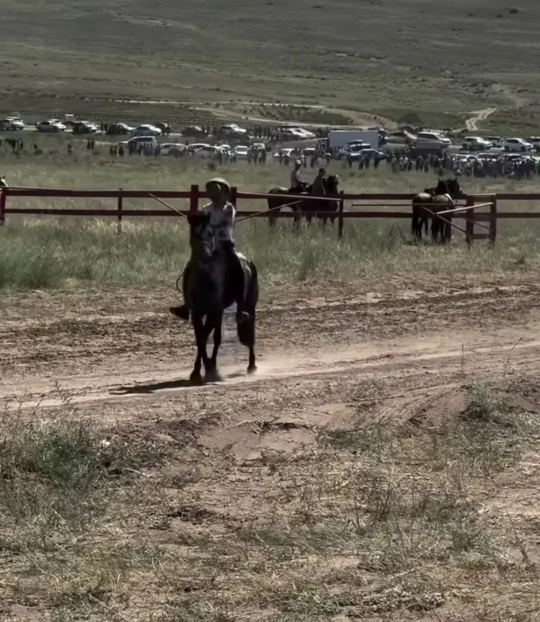 🐎 Продолжаем делиться достижениями наших земляков!
Дорогие земляки!
В рамках главного праздника жив