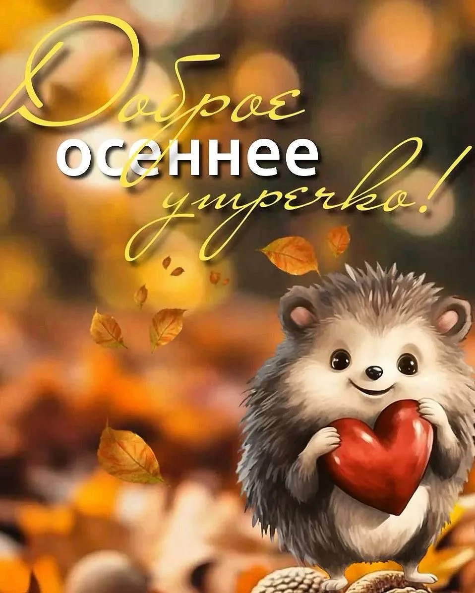 Красивые открытки❤️