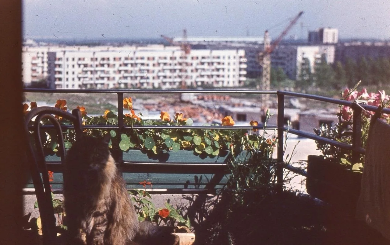 Дома по улице генерала Хазова, 1976-1977 г.