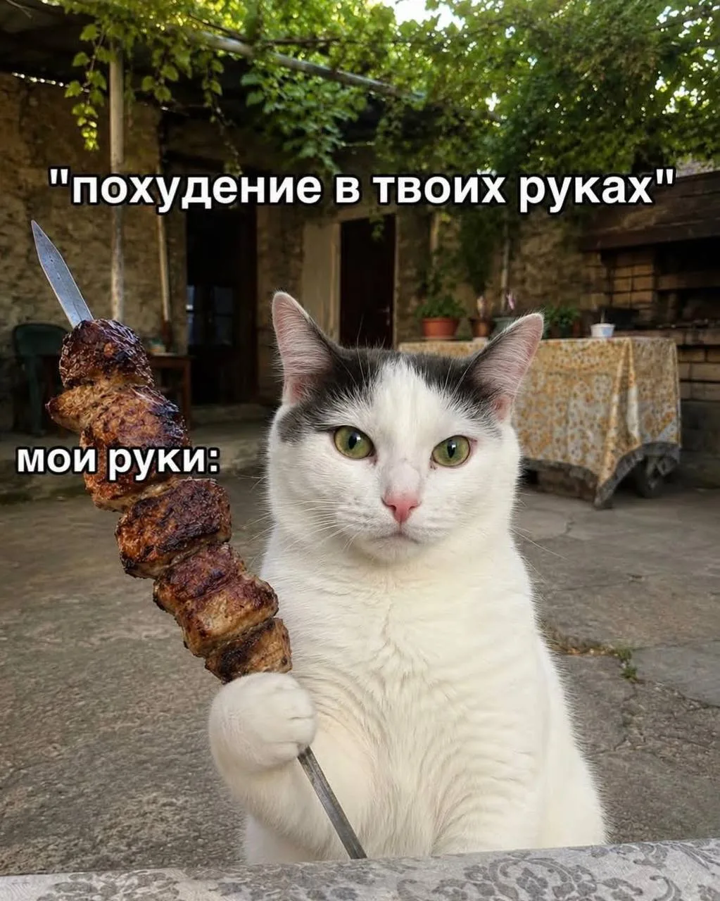 #мемыдня