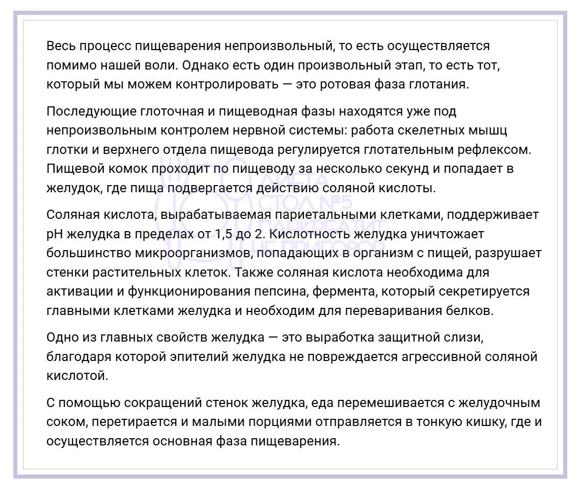 Гдᴇ нᴀчинᴀᴇᴛᴄя ᴨᴩᴏцᴇᴄᴄ ᴨищᴇʙᴀᴩᴇния? . Путешествие по самой удивительной системе нашего организма — в