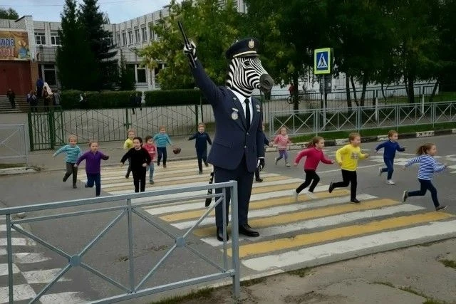 Зебра Единой России защищает костромских школьников