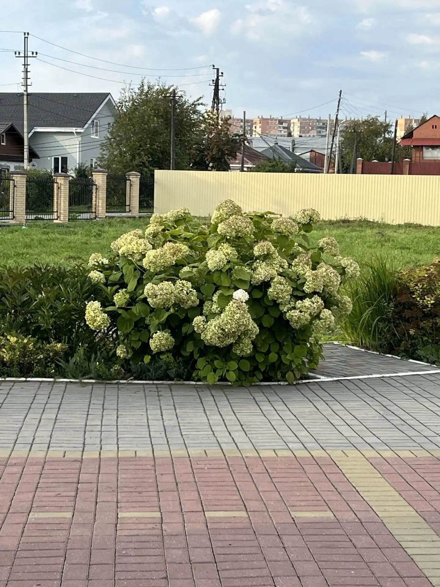 🎊 Завершились праздники в рамках районного конкурса «Калининский цветущий». Финальной ...
