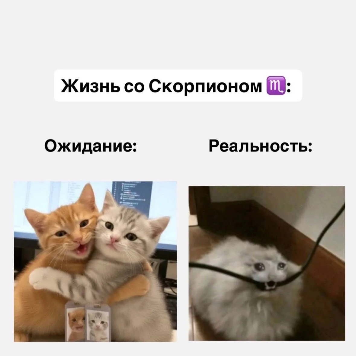 Жизнь со знаками зодиака, часть 2  Если согласны с постом, оставляйте реакцию ❤️  Астрология | Подпи