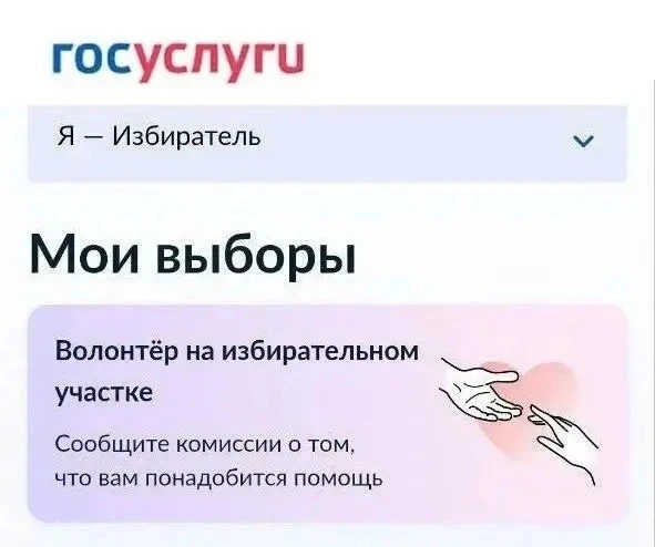 В Подмосковье заработал сервис «Волонтёр на избирательном участке». Это цифровой инстру...