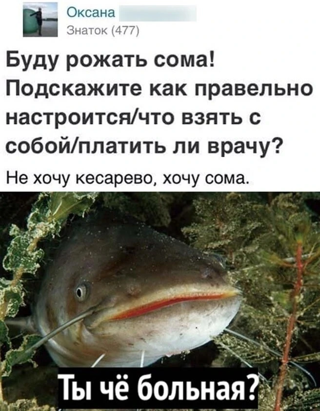 Что-то  у меня сегодня игривое настроение. Как вам наш великий русский язык? 😅