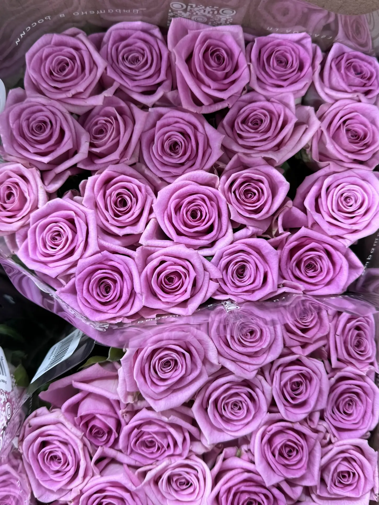 Свободный ассортимент саранской розы 🌹