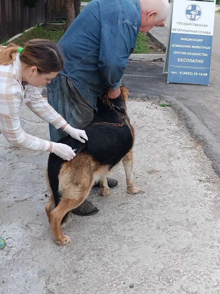 Вакцинация от бешенства для ваших питомцев!