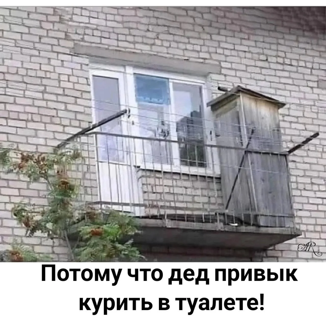 😂😂😂