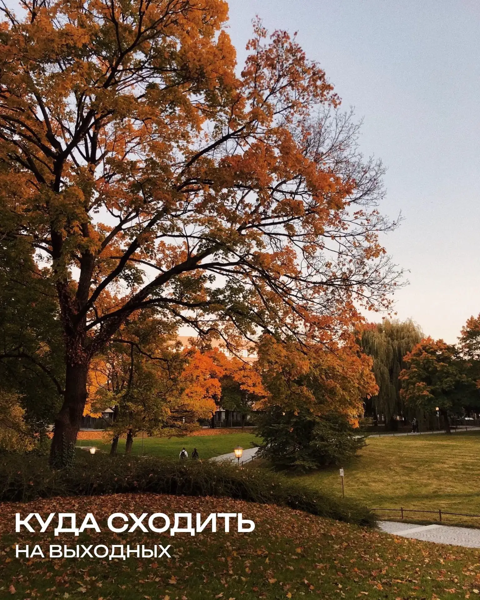 #АФИША_ПРООТДЫХ_ТЛТ