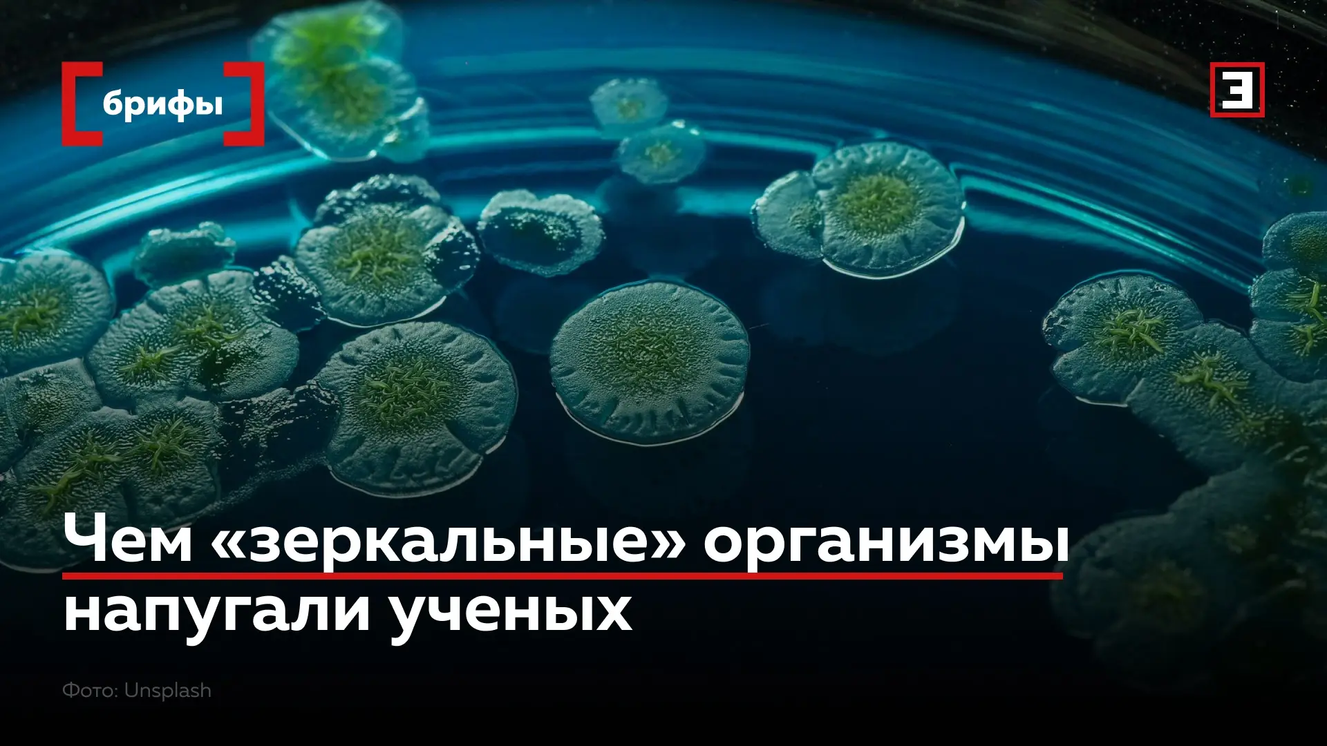 Зеркальная жизнь: технология, против которой у природы и ученных нет защиты