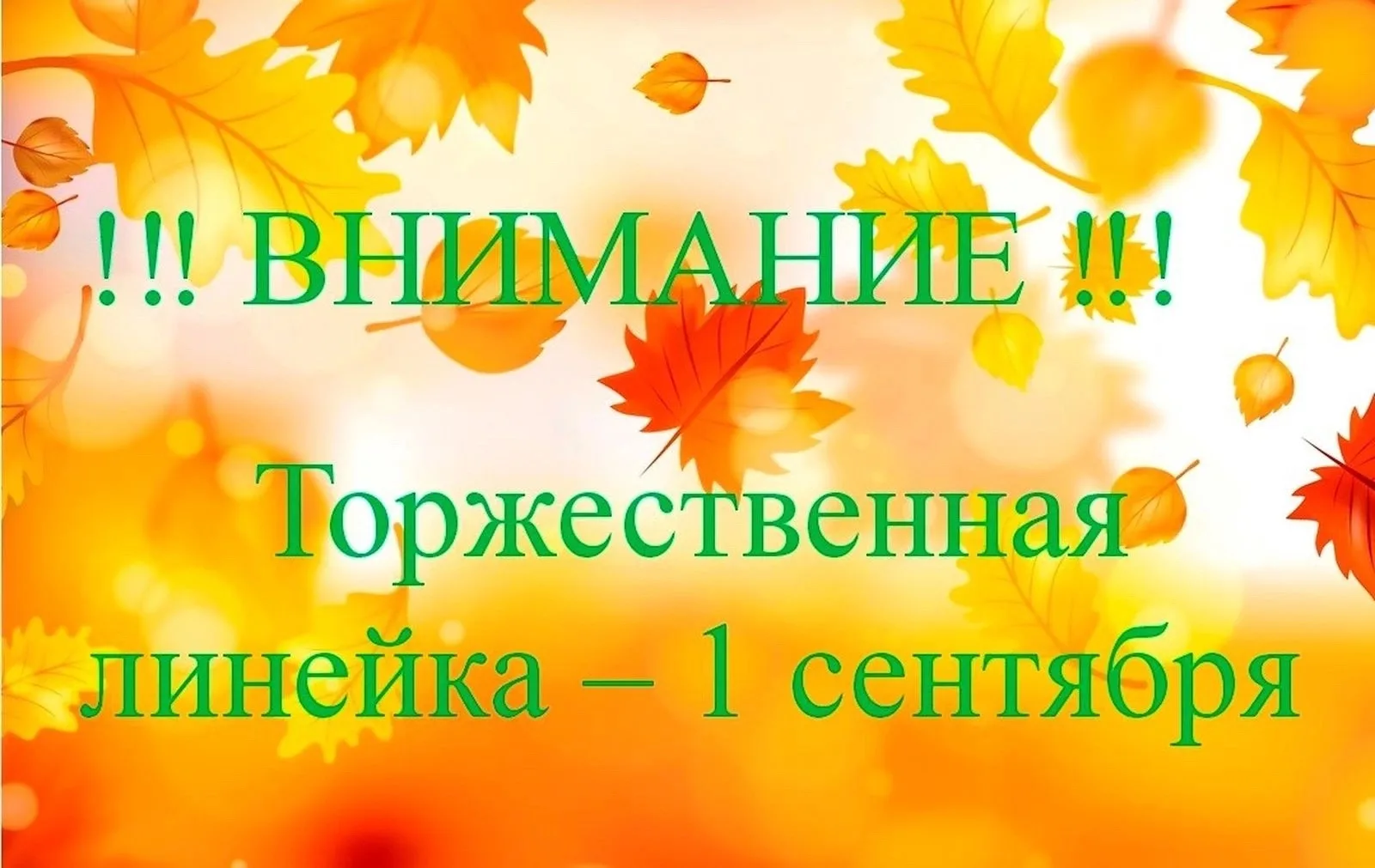 https://vk.ru/wall-195560078_11898