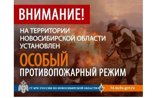 ‼️На всей территории Новосибирской области установлен особый противопожарный режим