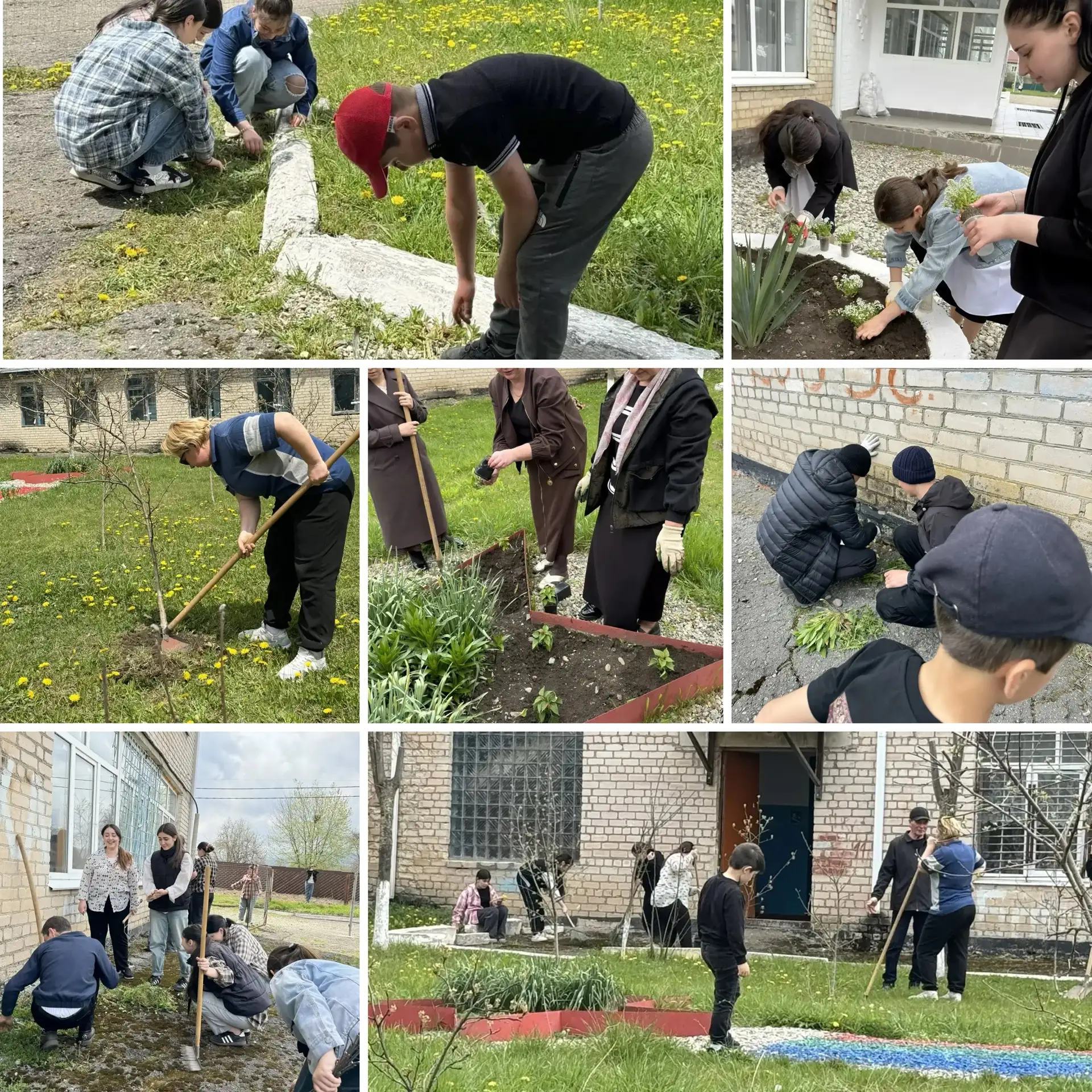 ✨ В нашей школе прошла замечательная акция «Сад памяти»! 🌳