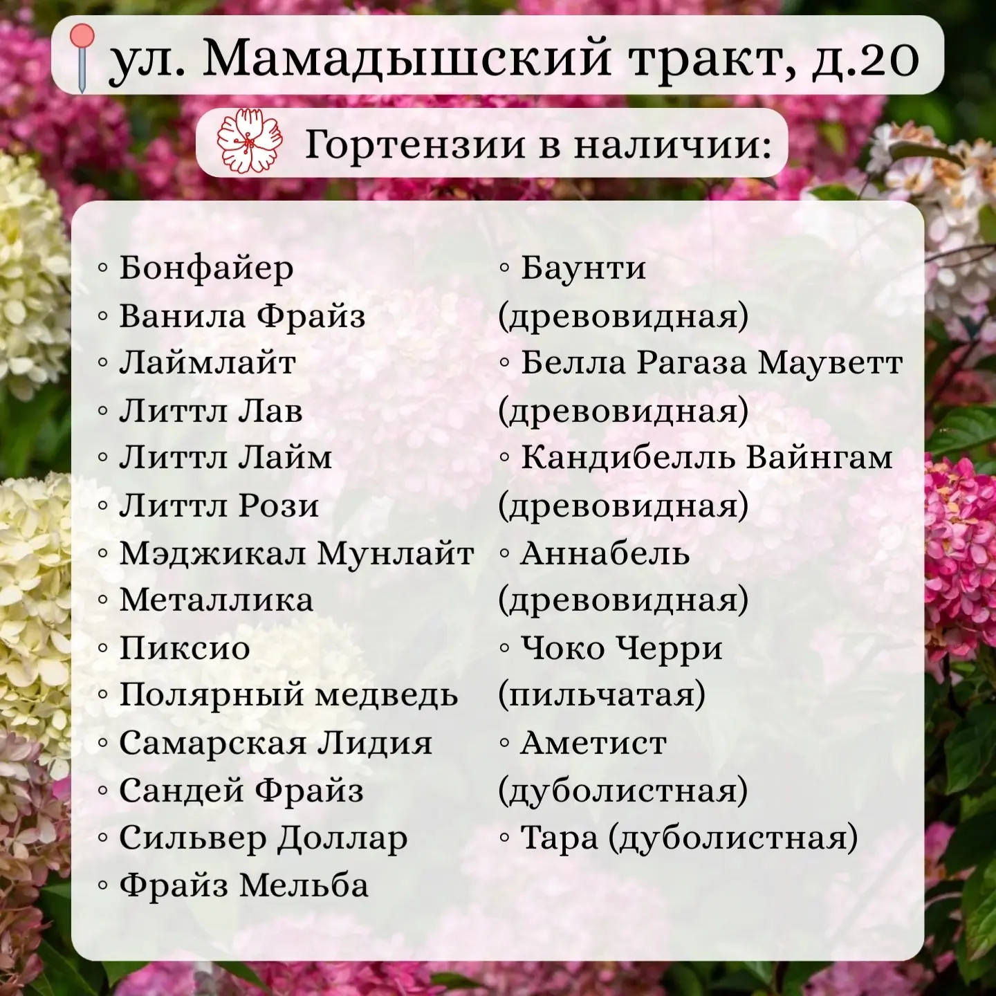 📸  На фото актуальное наличие сортов гортензий в наших садовых центрах 😍