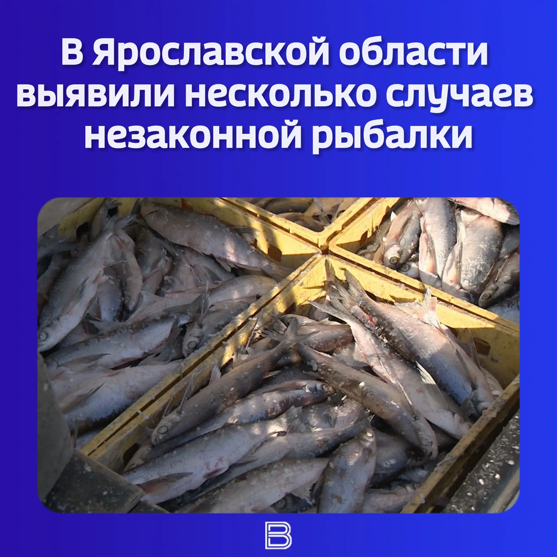 🎣 Сейчас в регионе действует период весеннего нереста, а на водоёмах введены ограничения на вылов ры