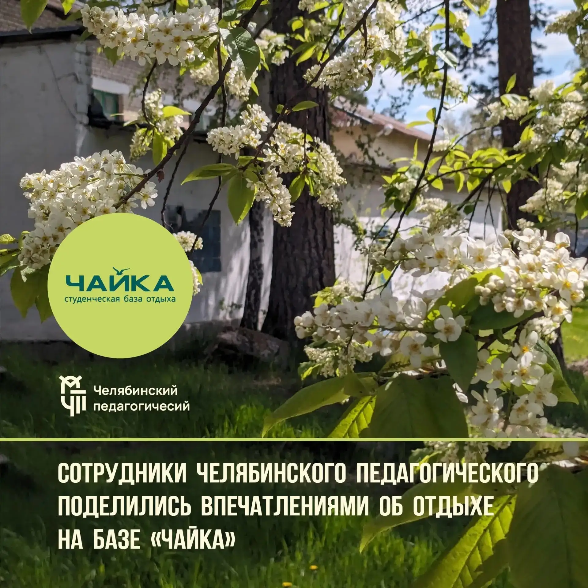А вы знали, что база отдыха «Чайка» привлекает не только студентов? ⛱