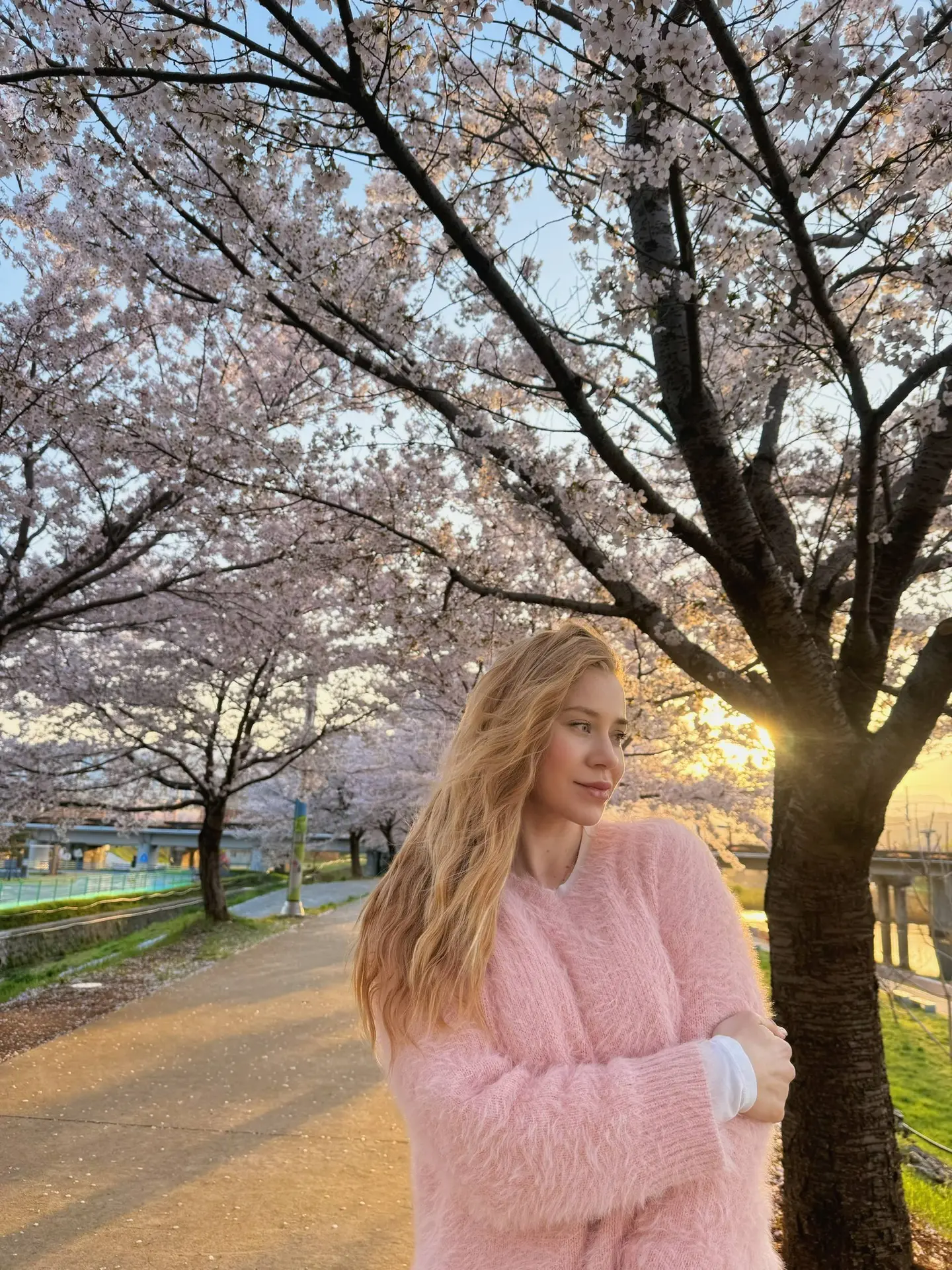 Очень красивое время сейчас в Корее 🌸 хочется гулять и гулять 🥰 советую если собираетесь посетить эт