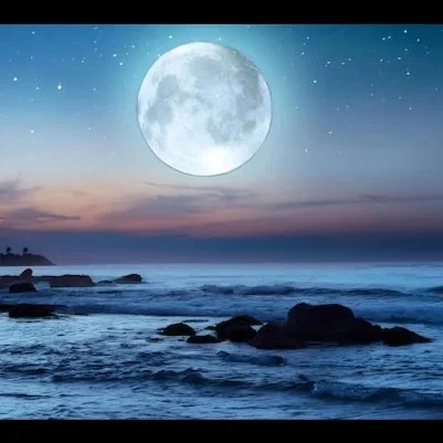 🌕 20 июля — Международный день Луны!

Сегодня весь мир отмечает Международный день Луны — праздник,