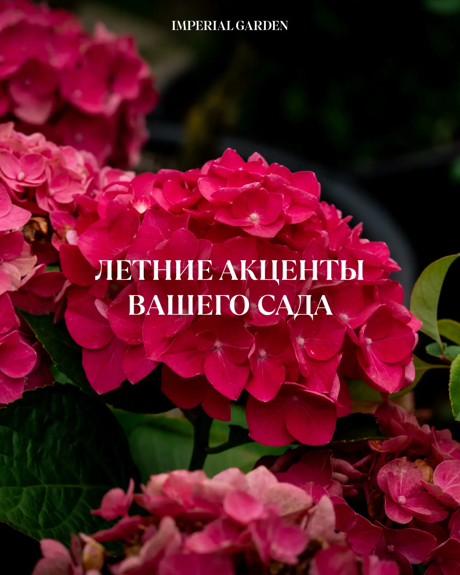 🌷Поставки растений в Imperial Garden