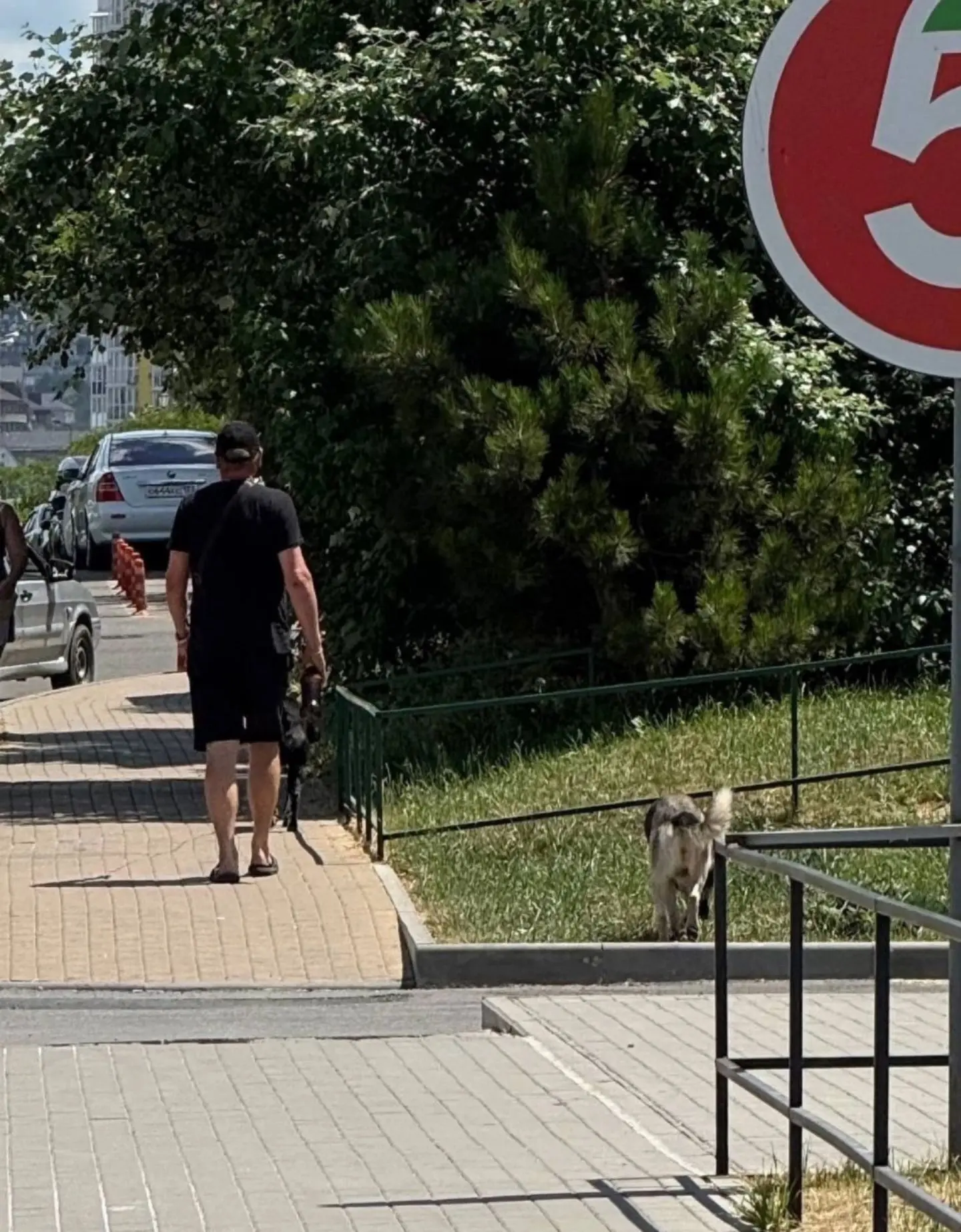 У одной из «Пятерочек» этот мужчина (в черном) купил целую большую подложку охлажденног...
