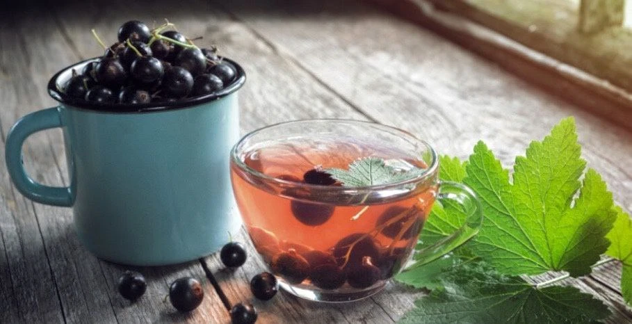 Чай из черной смородины: полезные свойства и вкус

Чай из черной смородины обладает богатым составом