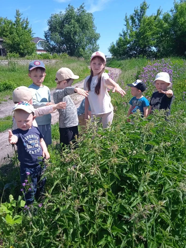 🍃"Встреча с крапивой"🍃
  Дети разновозрастной группы "Бабочки" во время прогулки встретились с рас