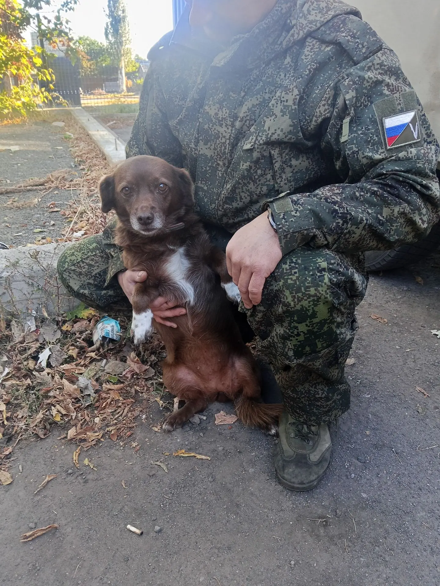 Начало большого пути Домой.