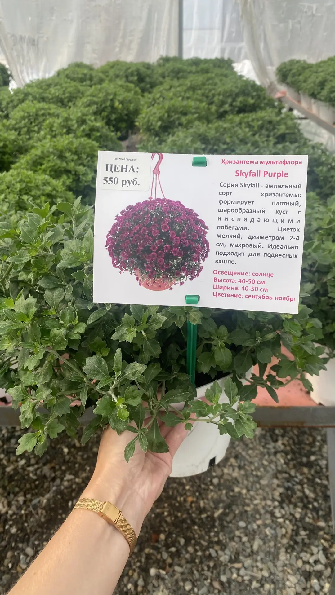 Новинка в нашем ассортименте 🤩